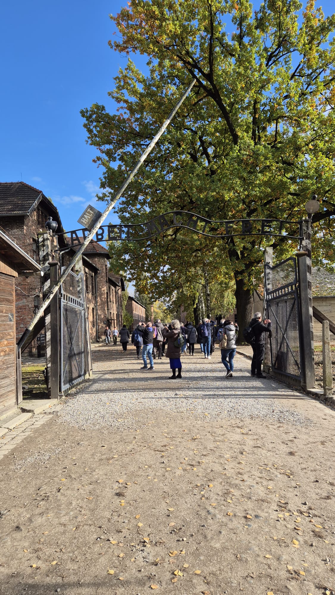 Auschwitz